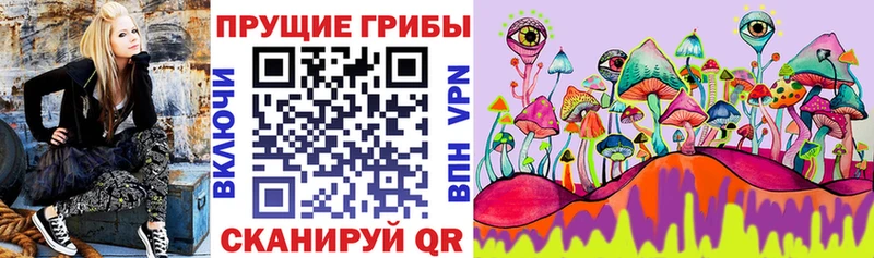где продают Новая Усмань Псилоцибиновые грибы Magic Shrooms